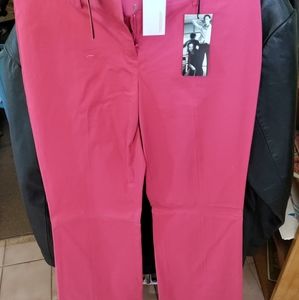 Express editor sz 2 --NWT--pants
